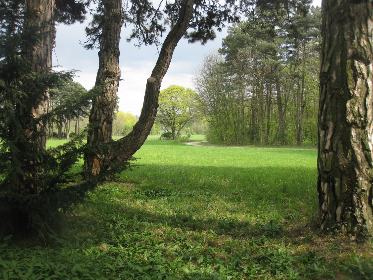 Lainzer Tiergarten bei der Hermesvilla.