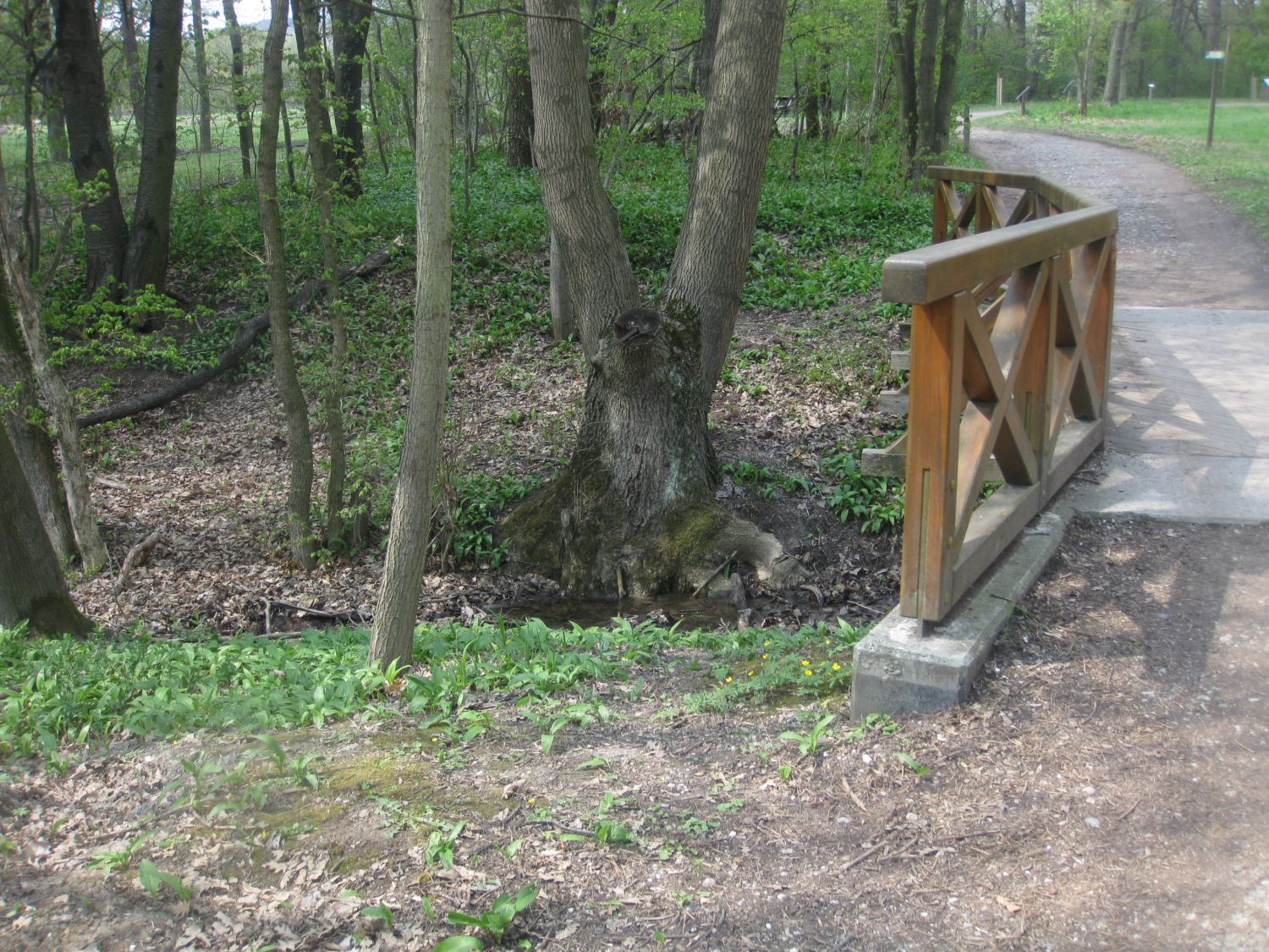 Lainzer Tiergarten bei der Hermesvilla.