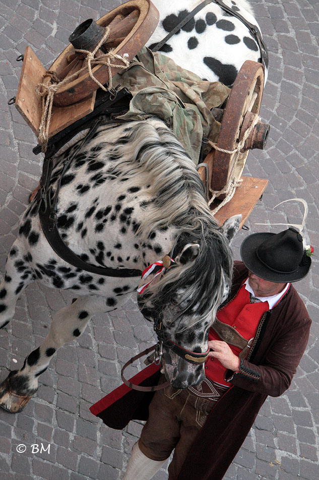 Landesfestumzug 2009