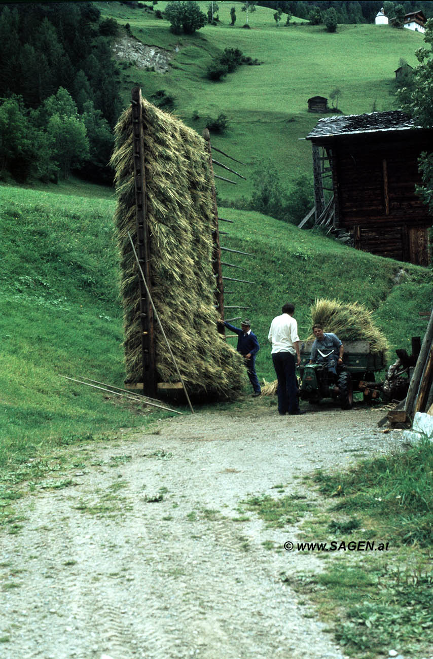 Landwirtschaft Kärnten - Harpfe
