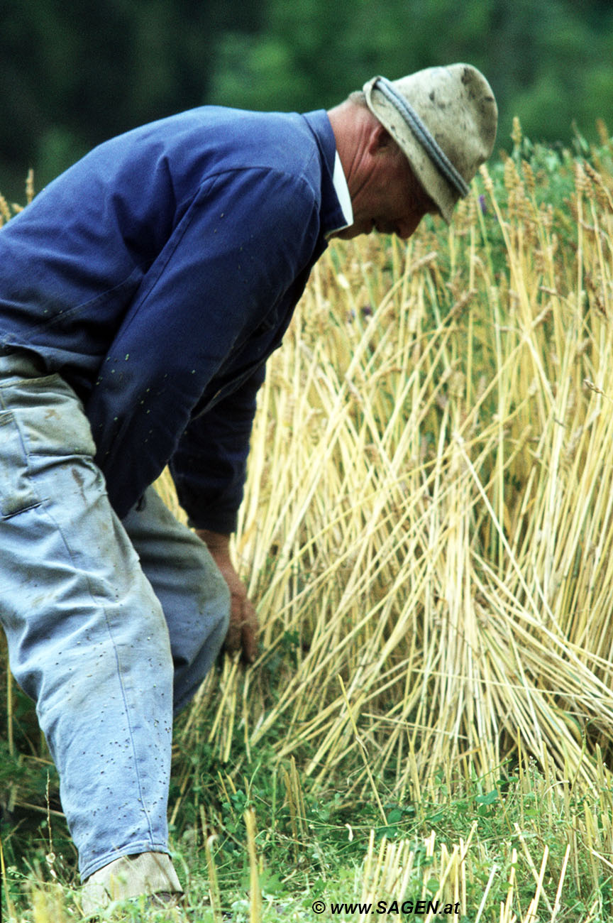 Landwirtschaft Kärnten