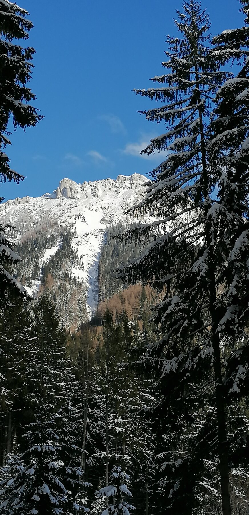 Leobner Mauer im Schnee (1.870 m)