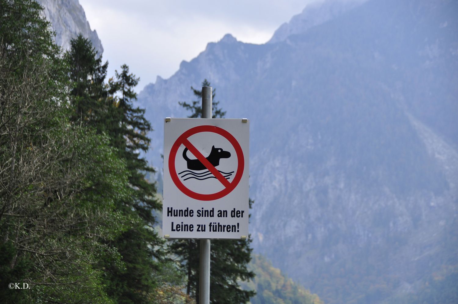 Leopoldsteiner See (Steiermark)