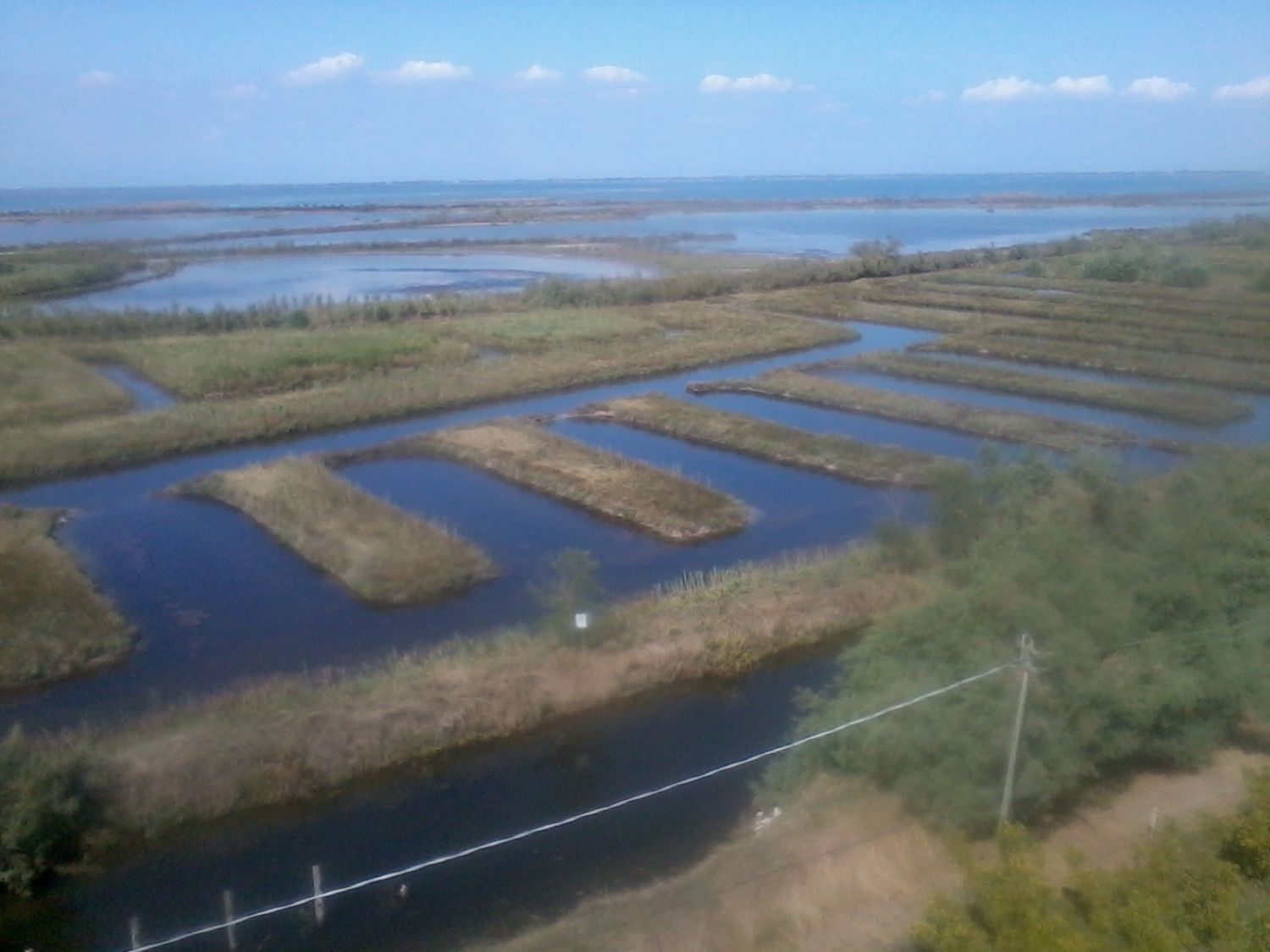 Lio Piccolo;  Laguna di Venezia