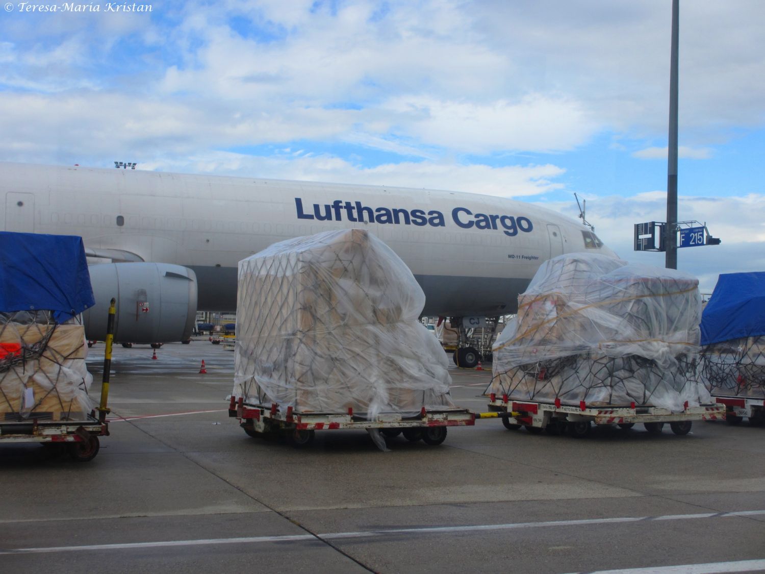 Lufthansa Cargo, Flughafen Frankfurt