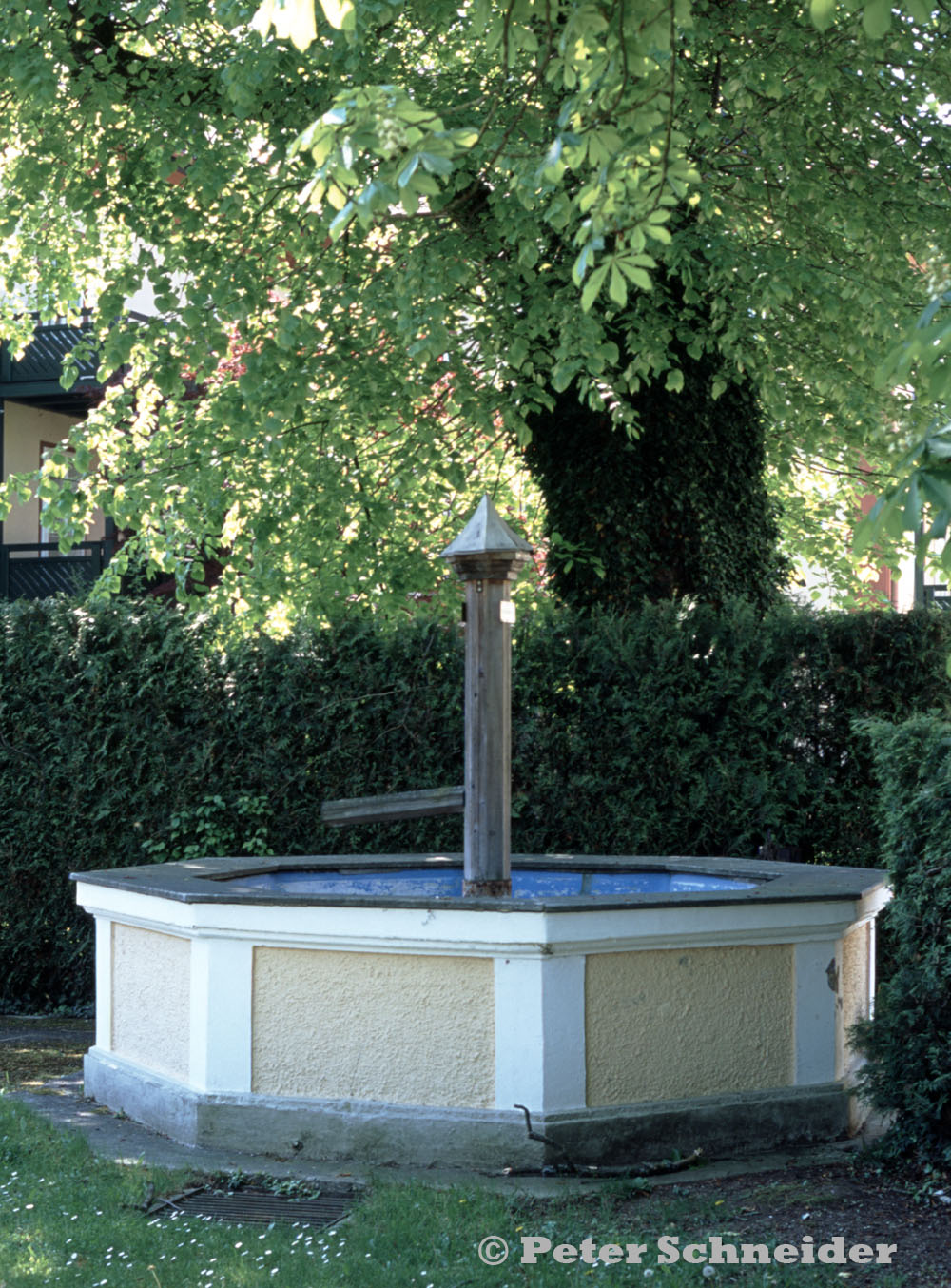 Mühlwang Brunnen