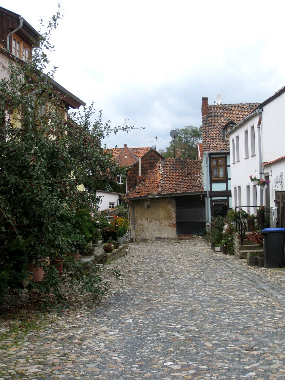 Münzenberg Quedlinburg