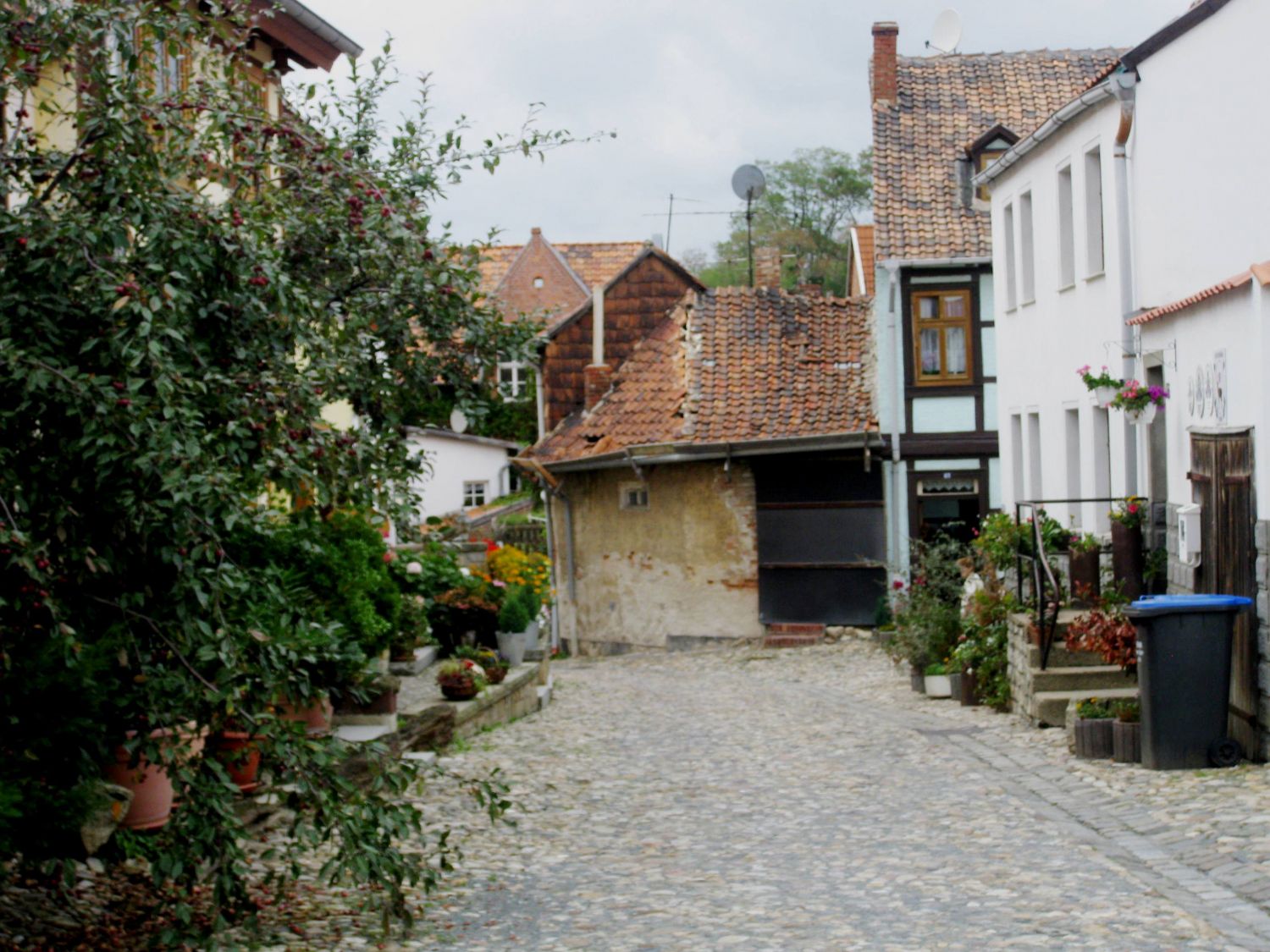 Münzenberg Quedlinburg