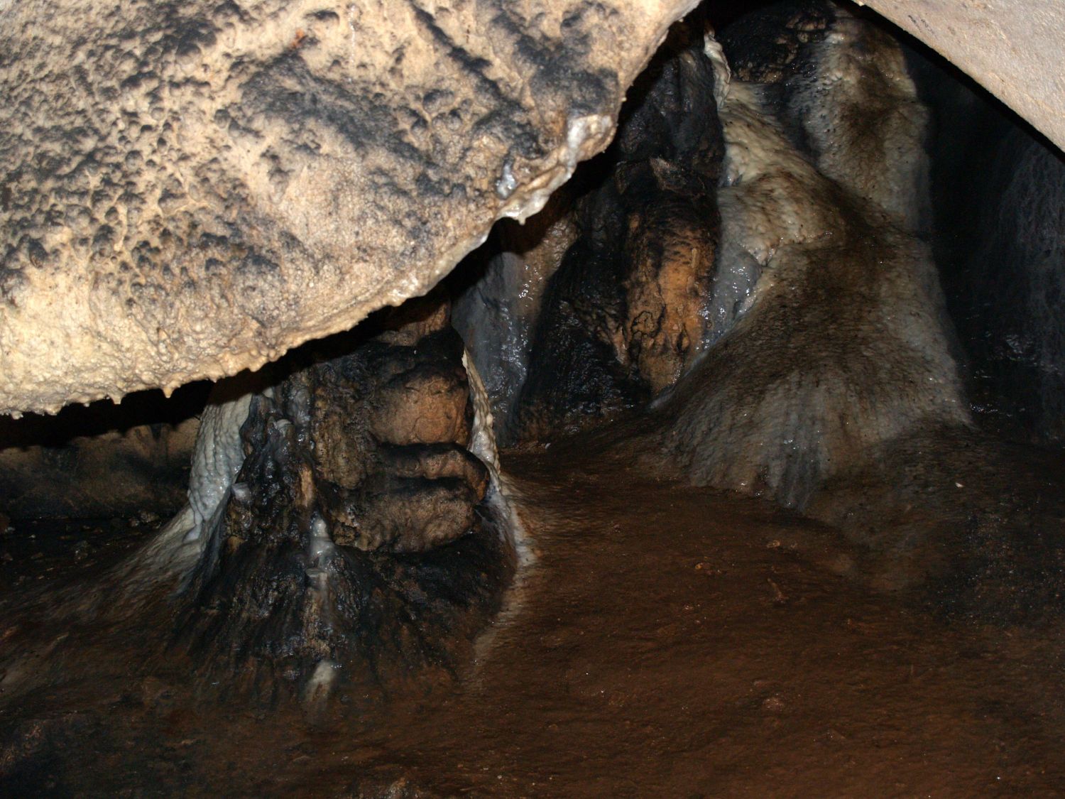 Magura Höhle nahe Vidin (Bulgarien)