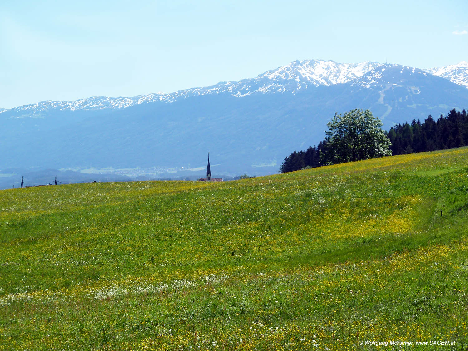 Maiwiese Oberperfuss Tirol