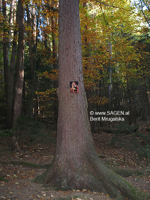 Mariahilf-Bild im Wald