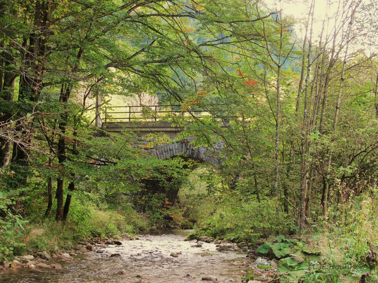 Mariazeller-Bahn-Brücke