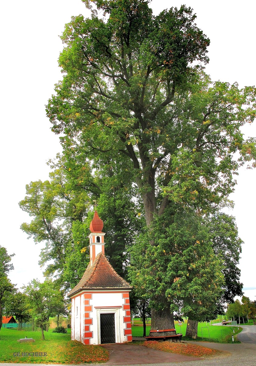 Meierhofkapelle