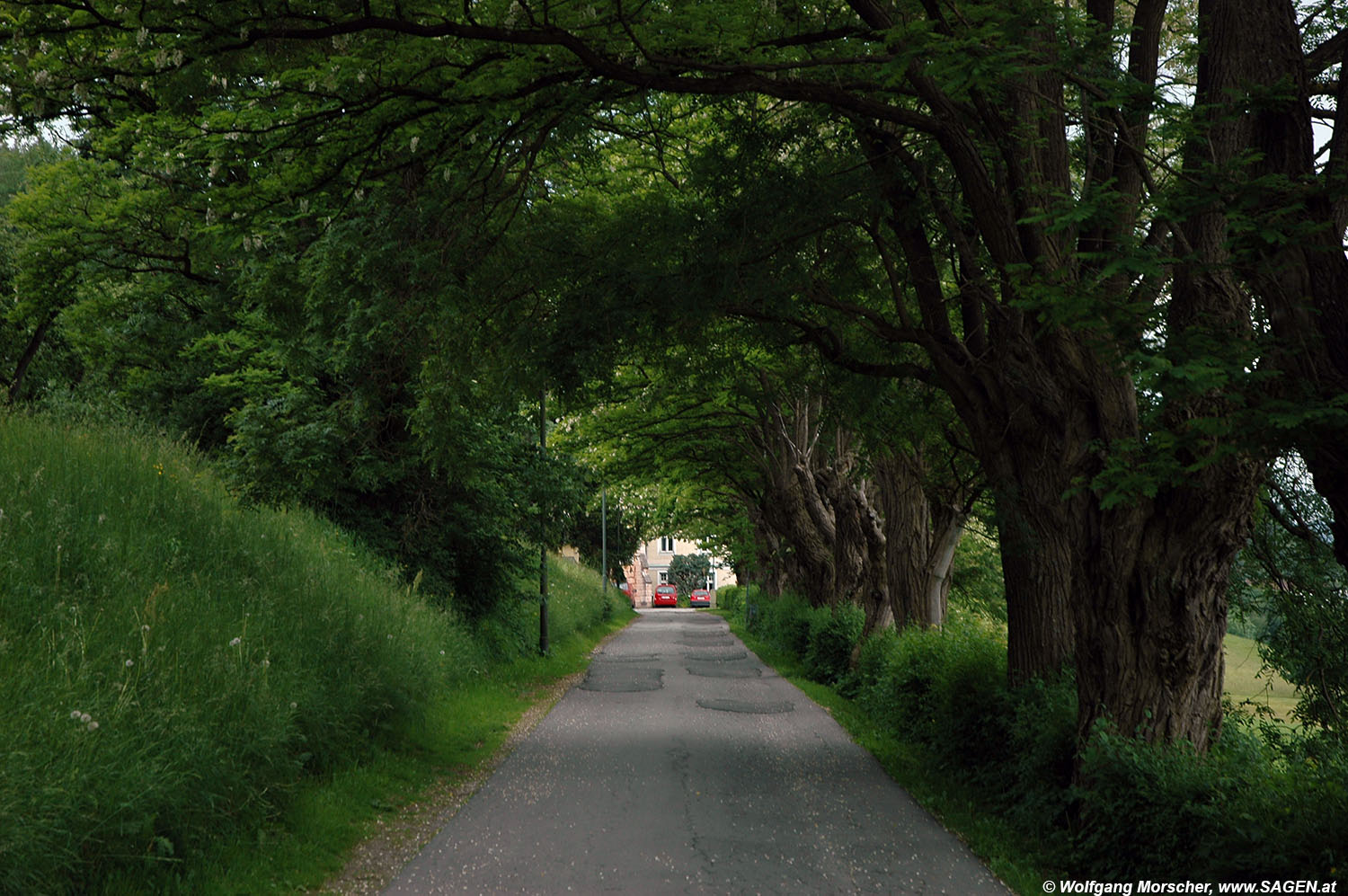 Mentlberg Allee