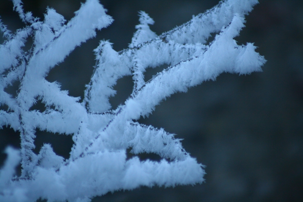 Minus 16 Grad in Opponitz