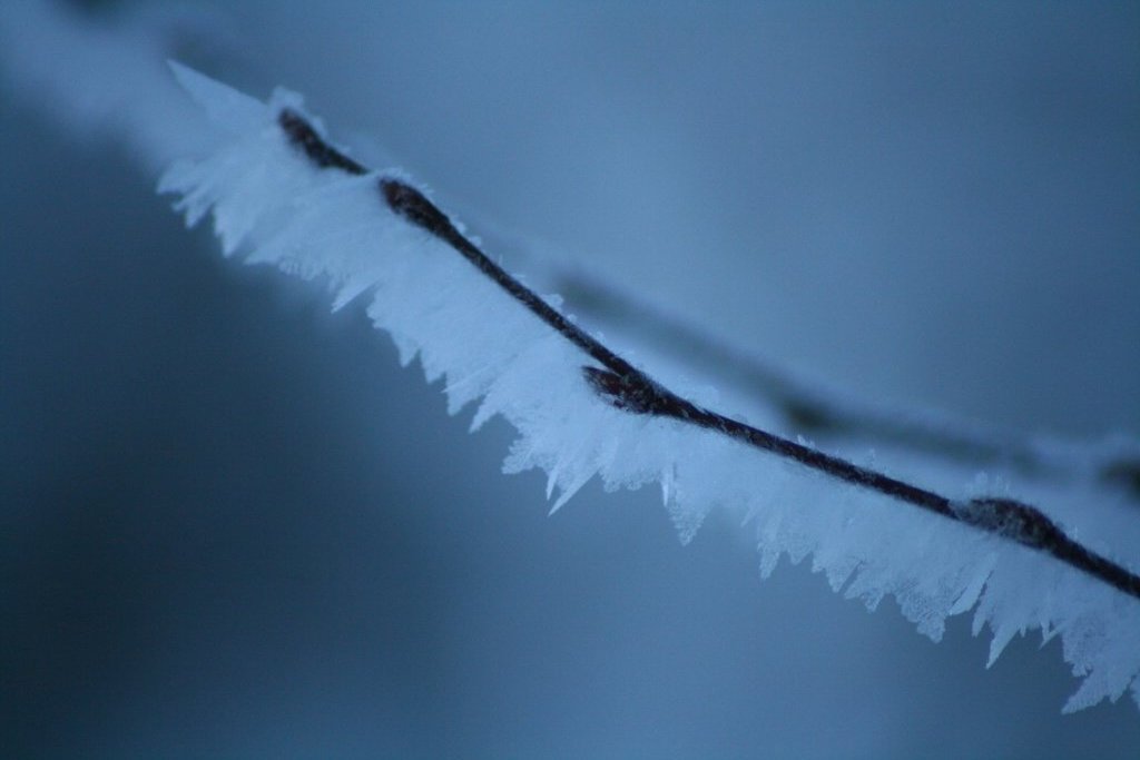 Minus 16 Grad in Opponitz