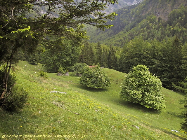 Mistleben - eine verfallene Alm