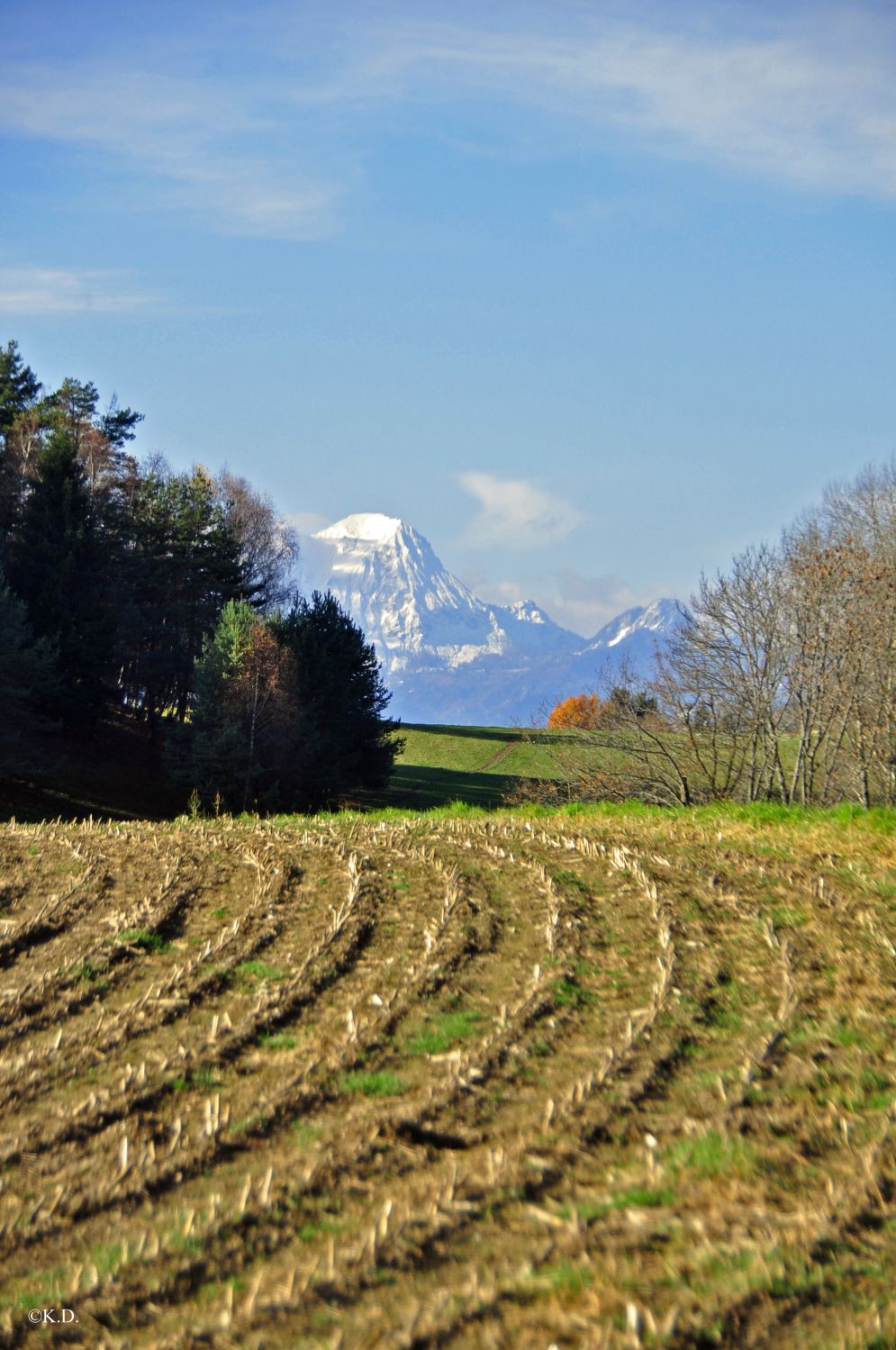 Mittagskogel vom Plöschenberg aus