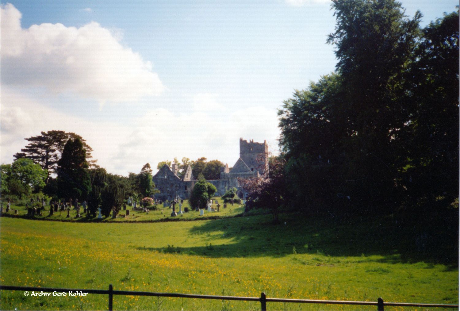 Muckross Abbey, Irland 1989