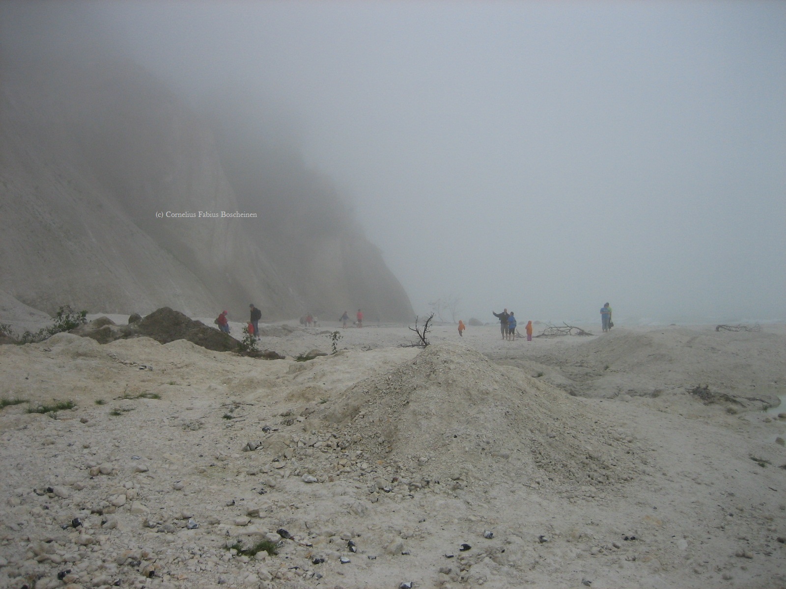 Mystische Kreideklippen Møns Klint,