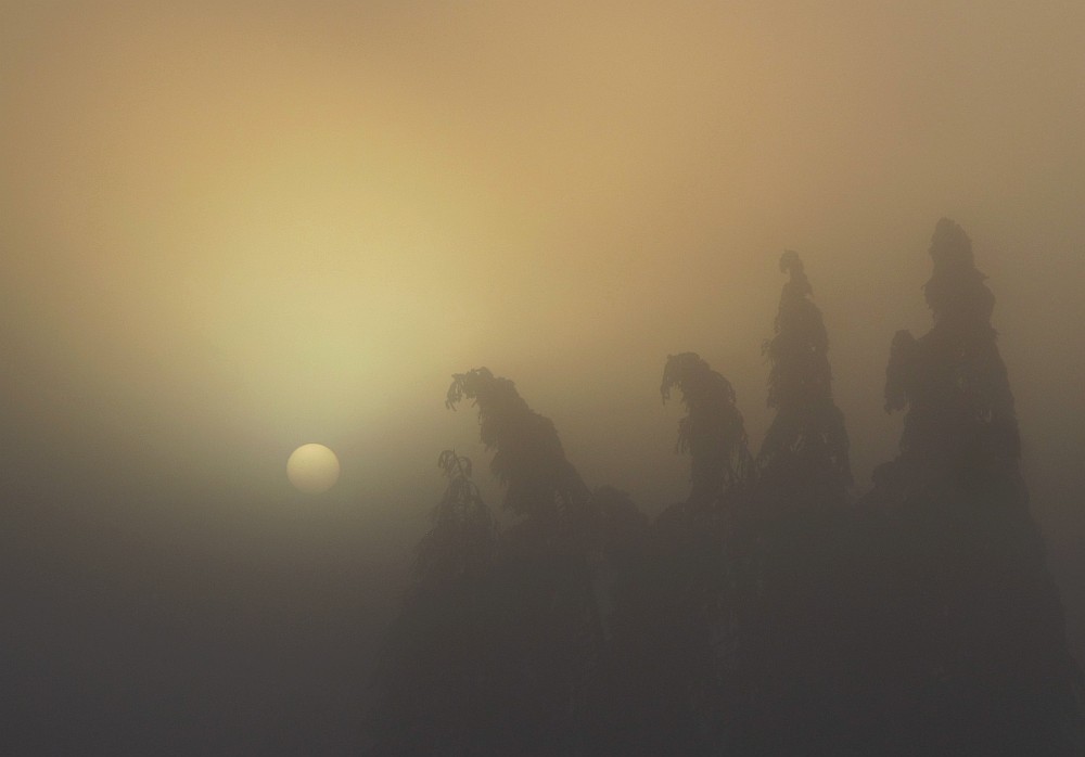 mystische Sonnenanbeter