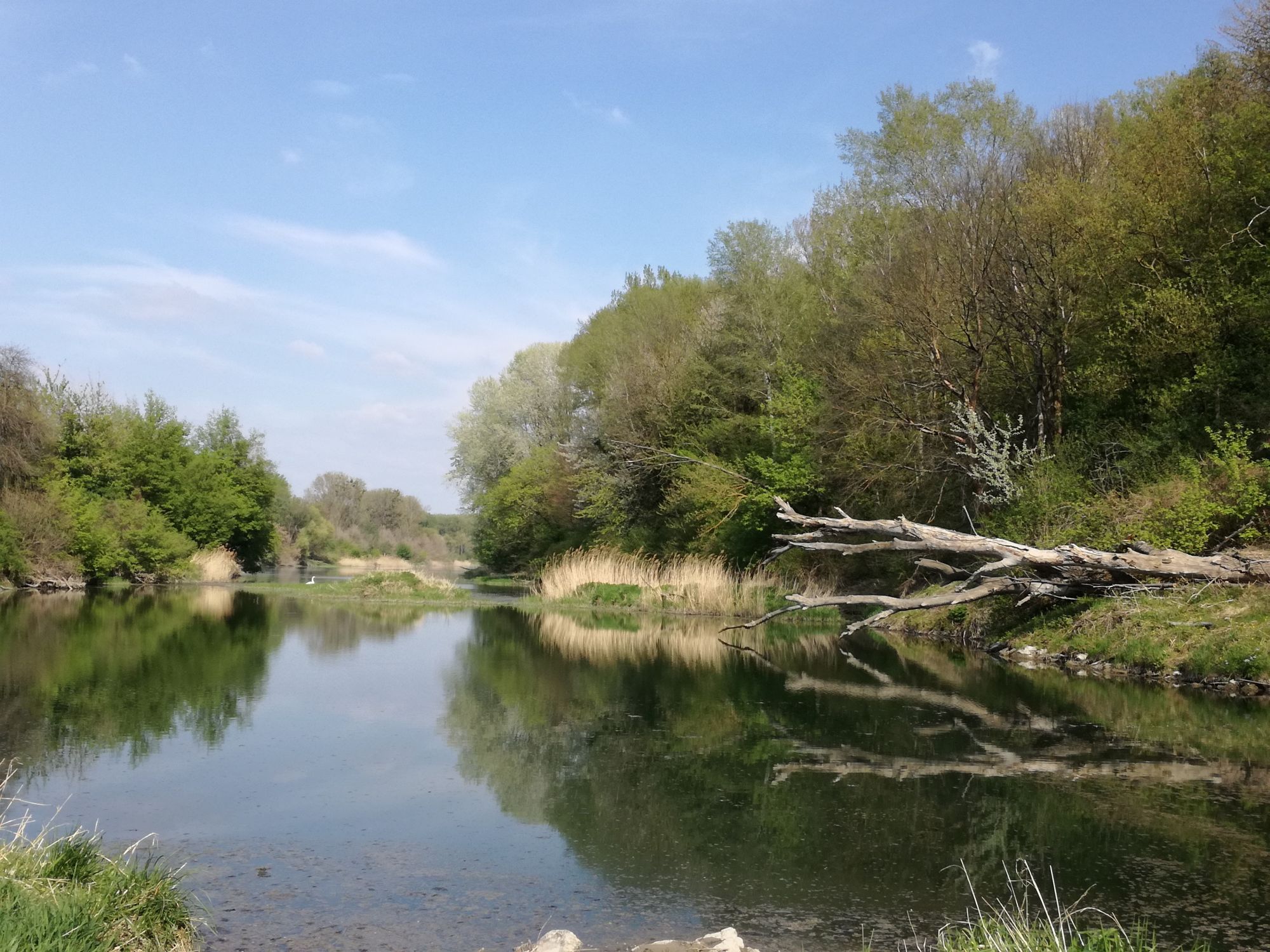 Nationalpark Donauauen