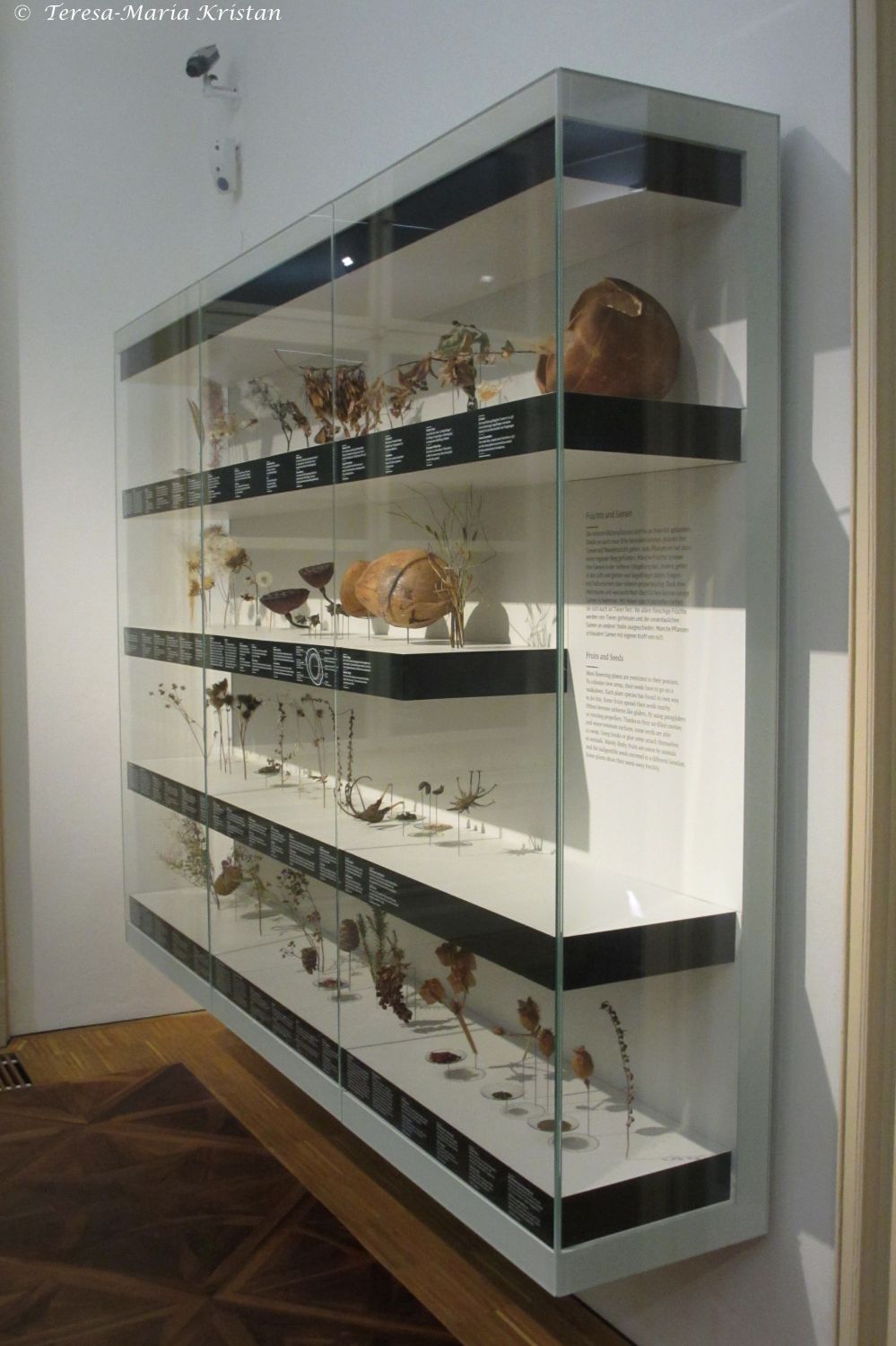 Naturkundemuseum Graz Joanneum