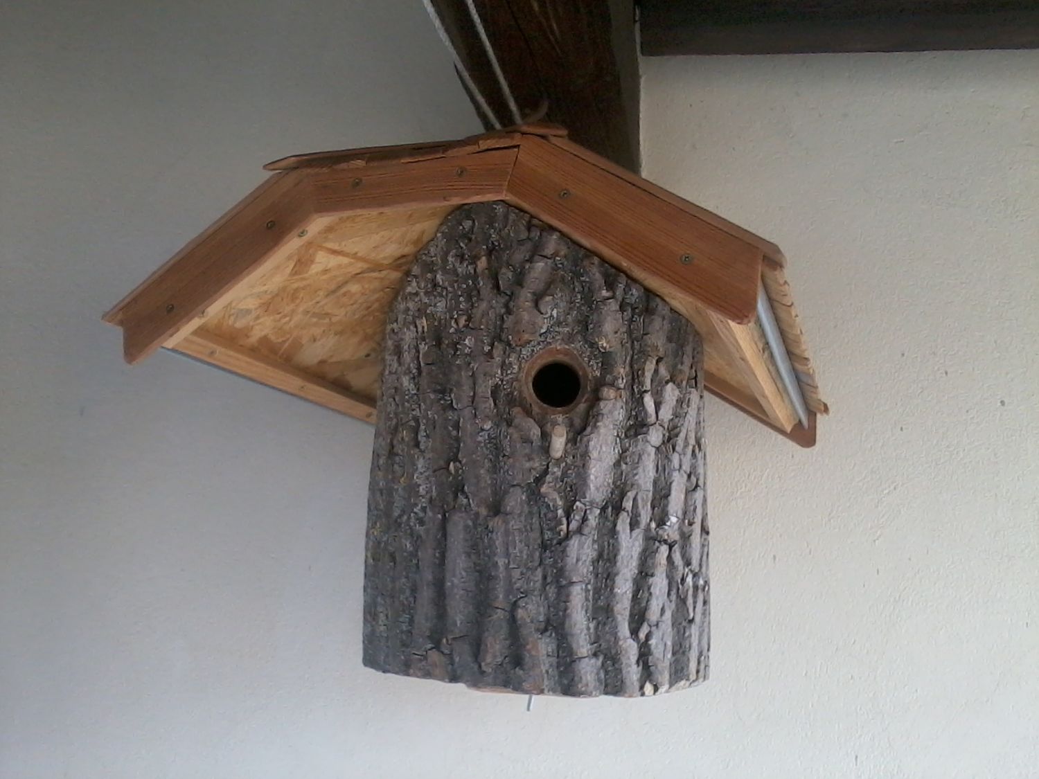 Nistkasten Natur