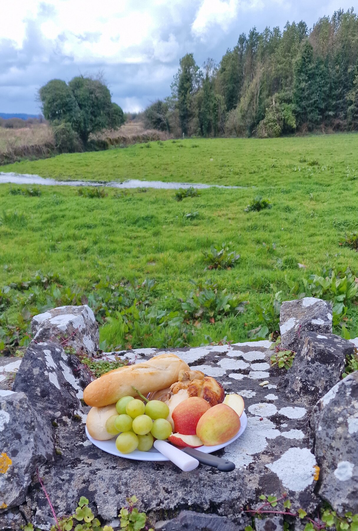Picknick in Irland, County Tuam