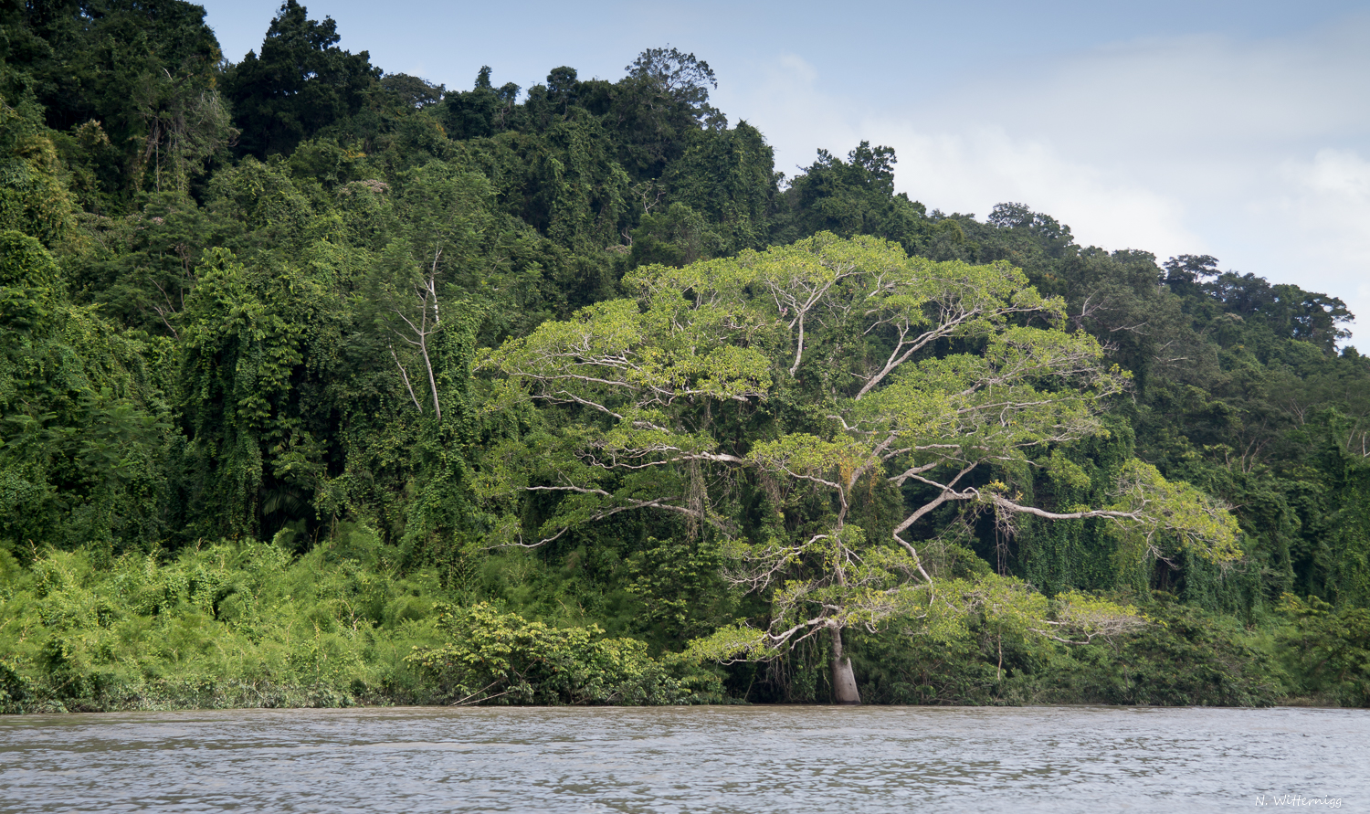 Río Usumacinta - 4