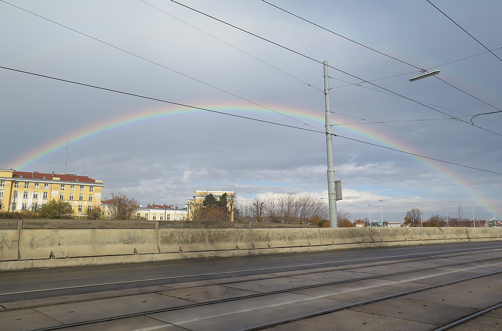 Regenbogen über Wien