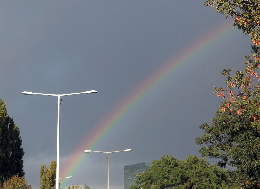 Regenbogen über  Wien