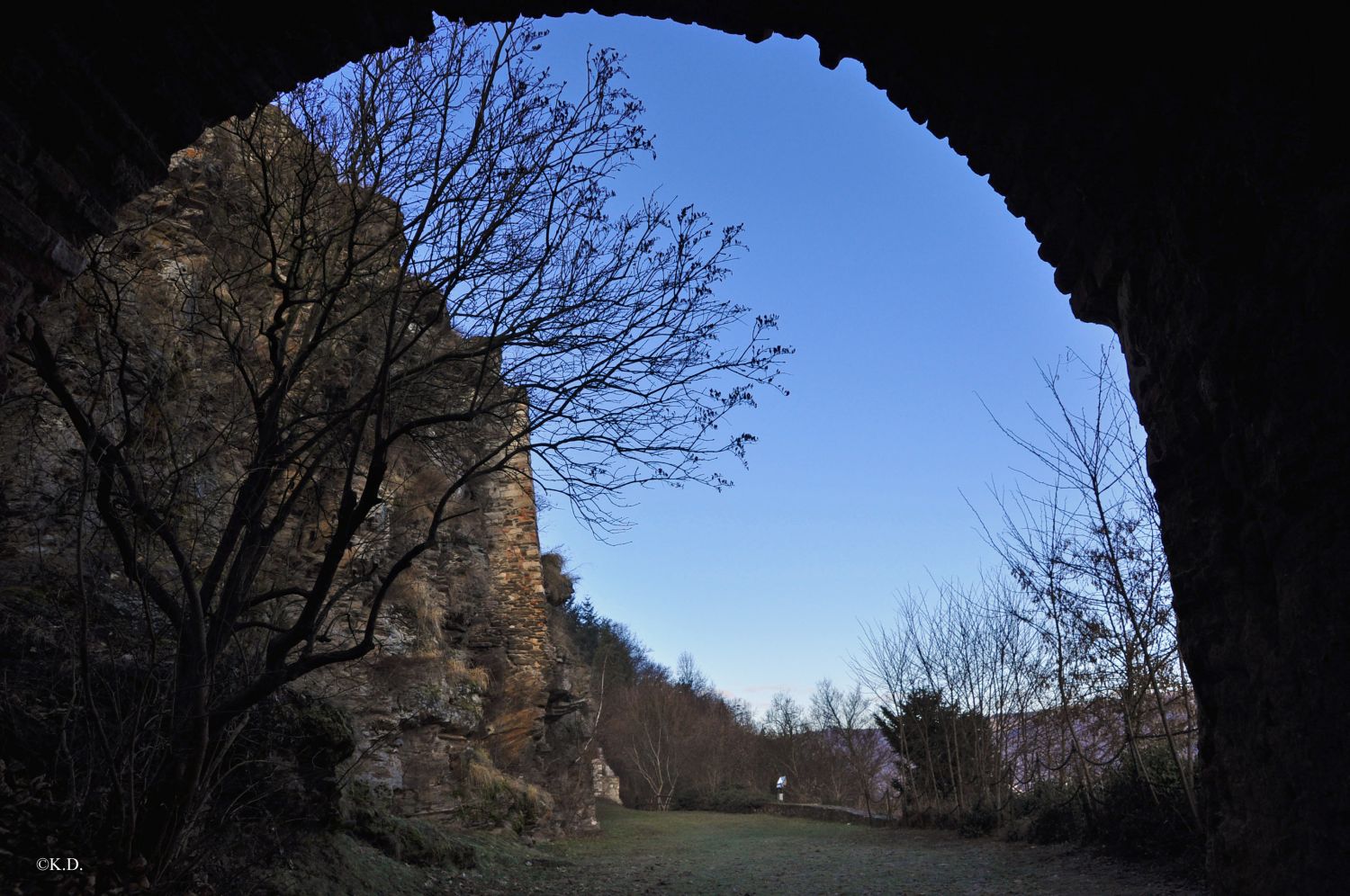 Rehberg (Stadtgemeinde Krems a.d. Donau)