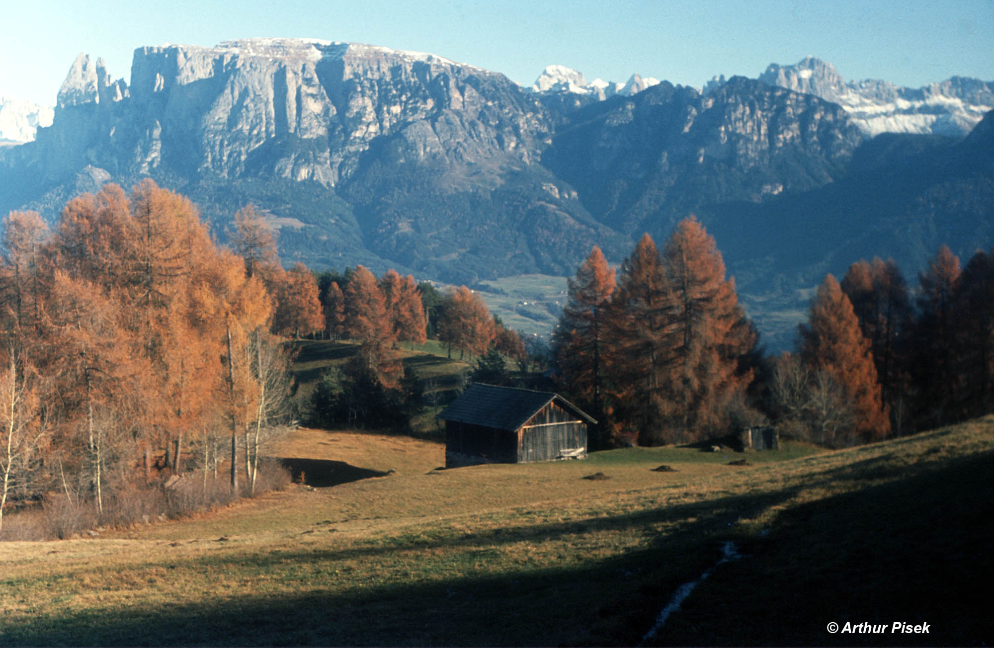 Ritten Blick zum Schlern 1967