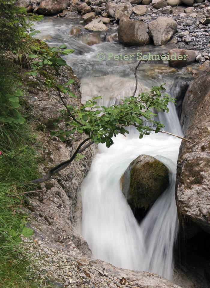 Rosengartenschlucht