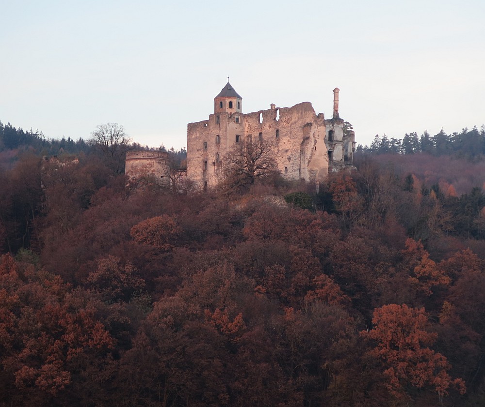 Ruine Hohenegg