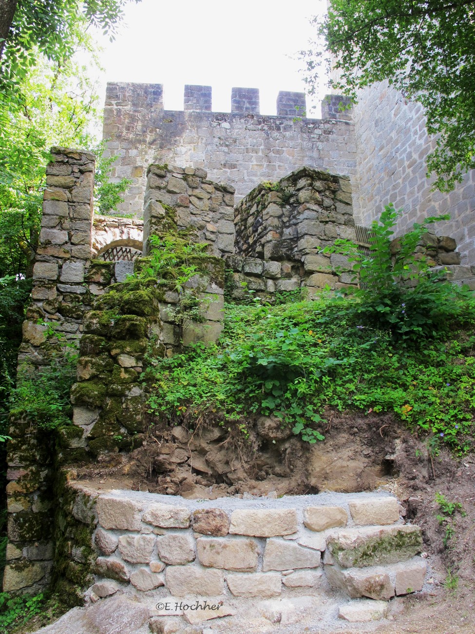 Ruine Windegg