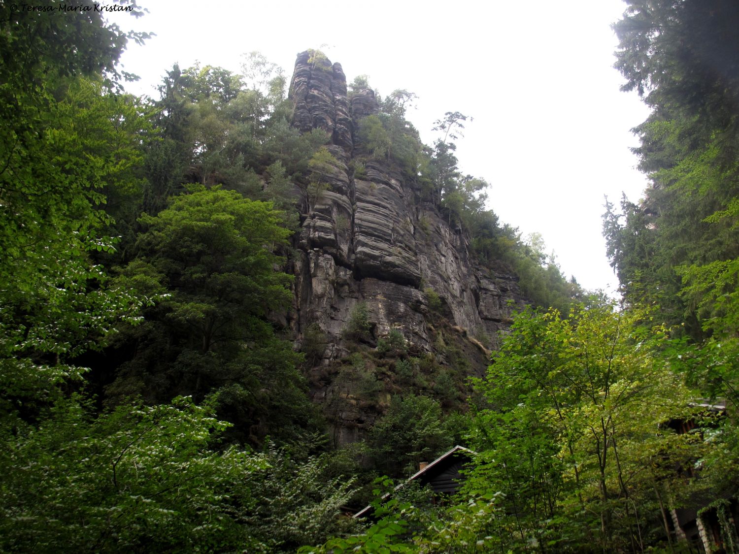 Sächsische Schweiz - Beim Amselfall