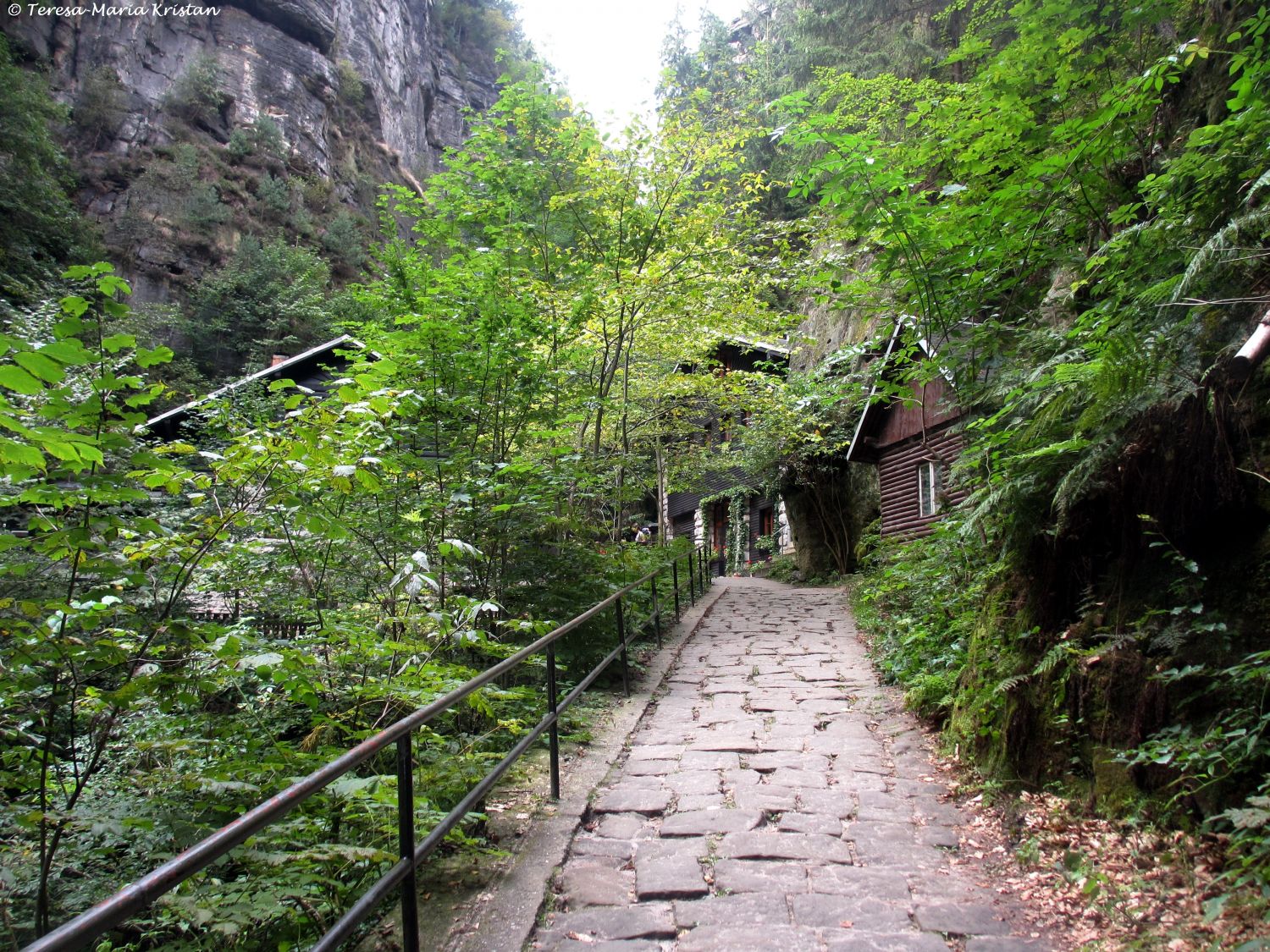 Sächsische Schweiz -Weg zum Amselfall