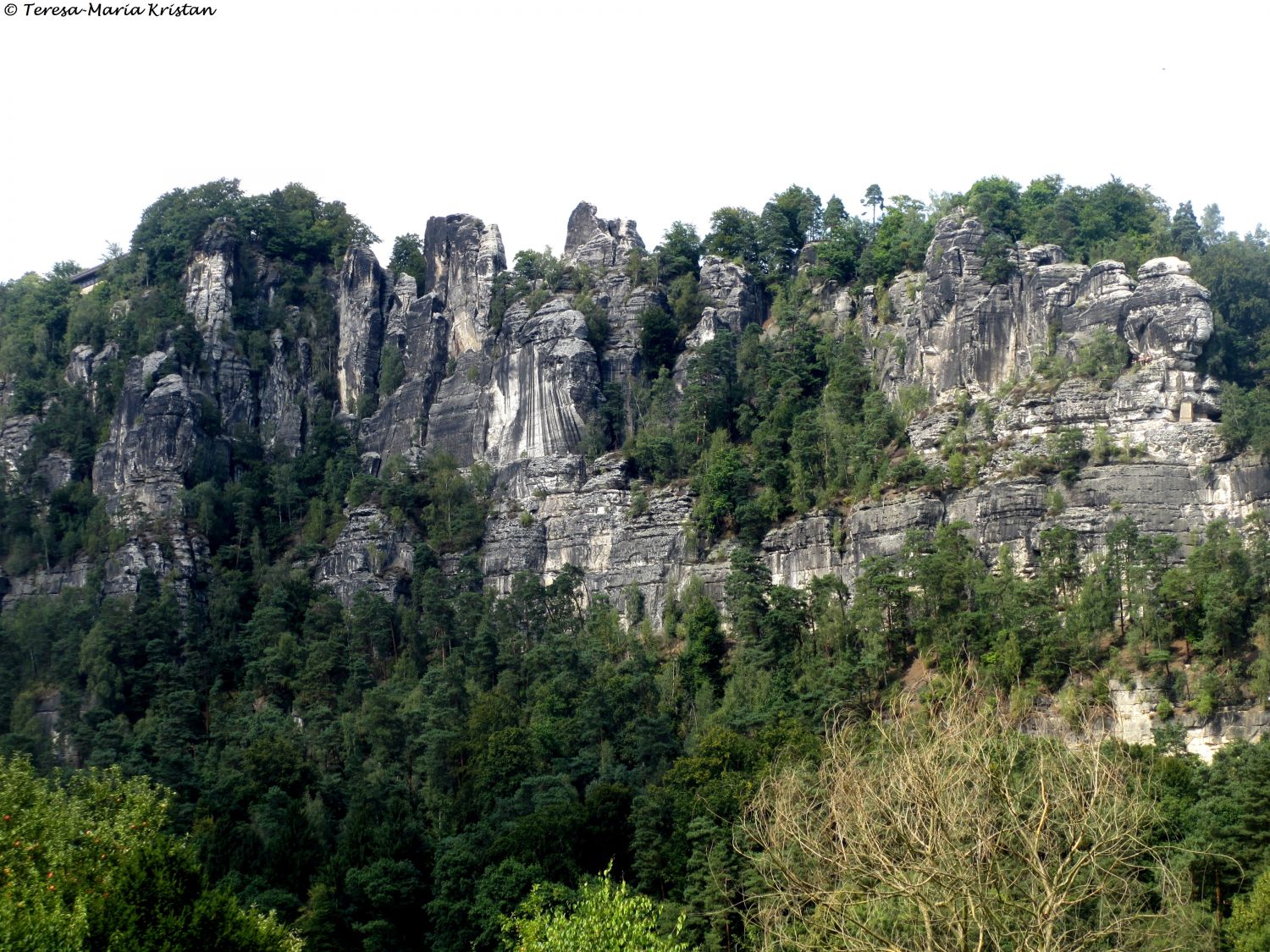 Sächsische Schweiz