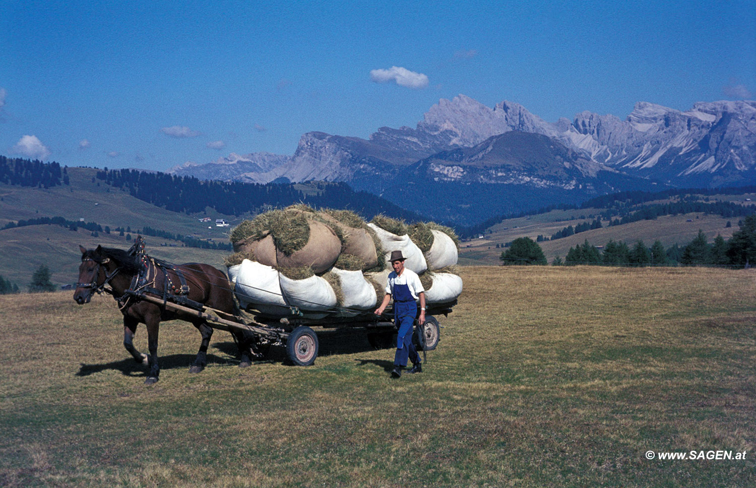 Südtirol - Bauer mit Pferdefuhrwerk auf der Seiser Alm