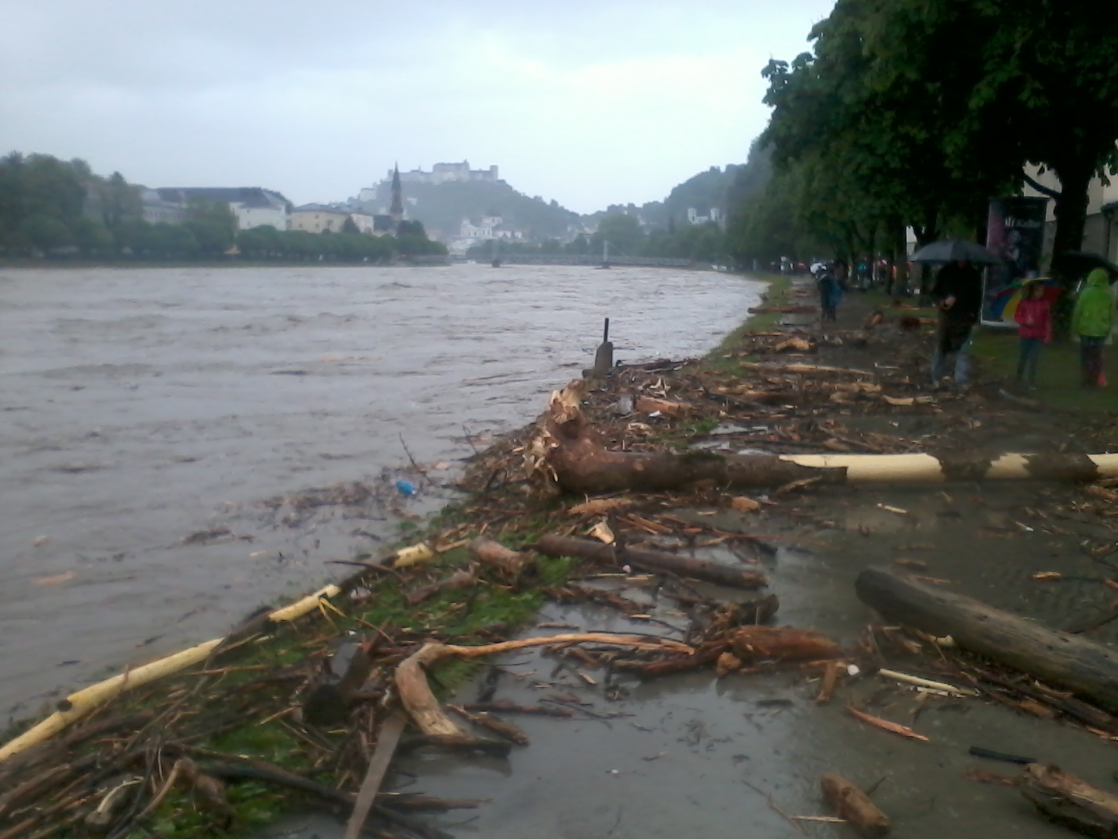 Salzach Hochwasser in Salzburg 2.6.2013