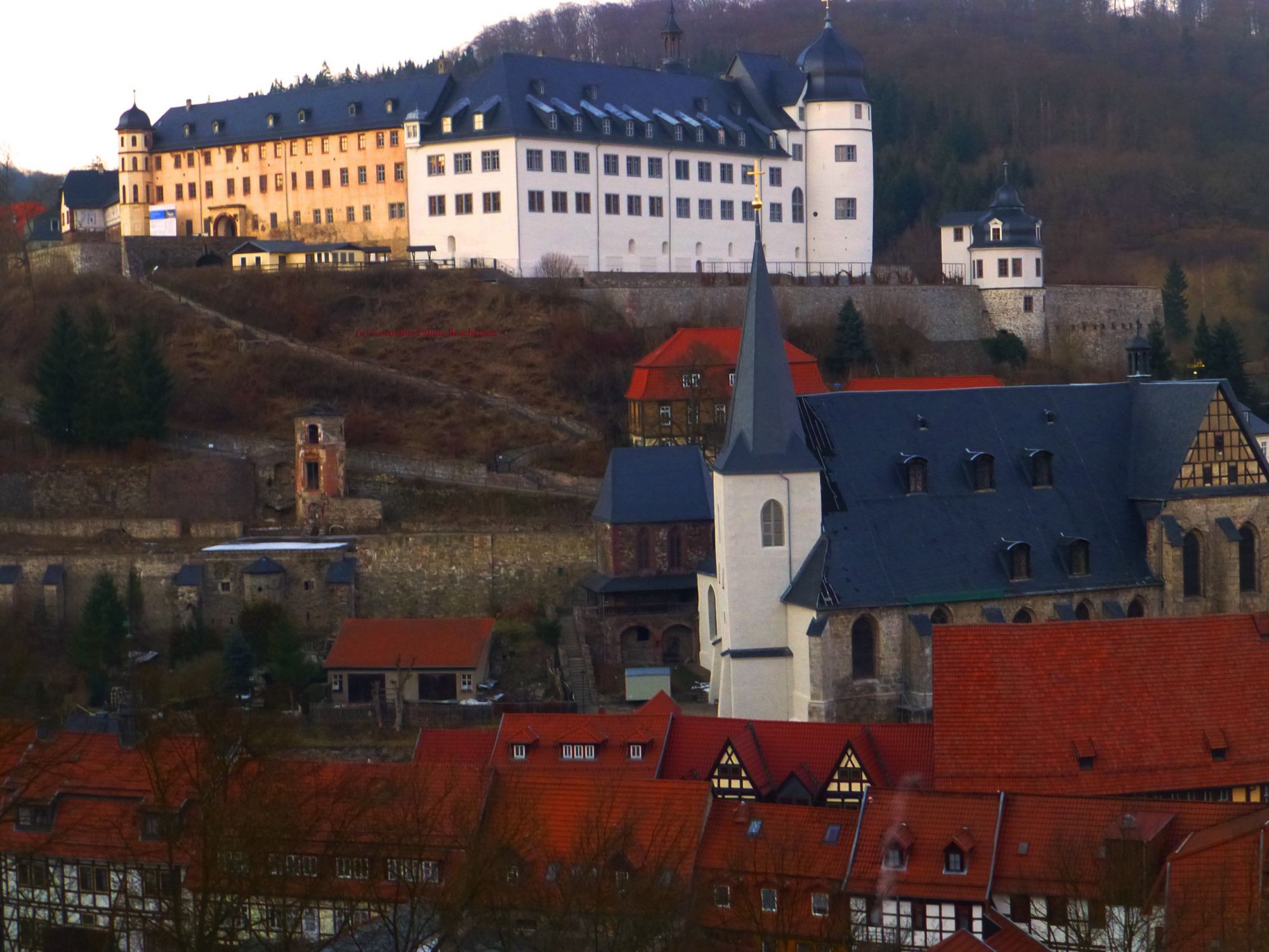 schöner Sichtpunkt zum Stolberger Schloss. Abstieg von der Lutherbuche.