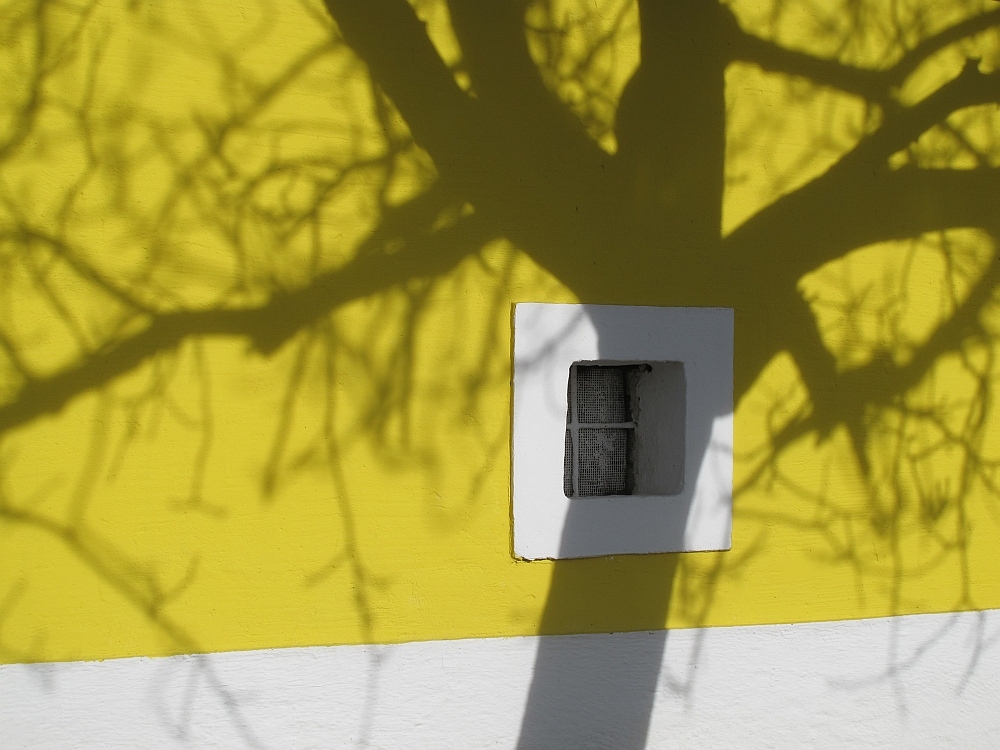 Schattenspiel
