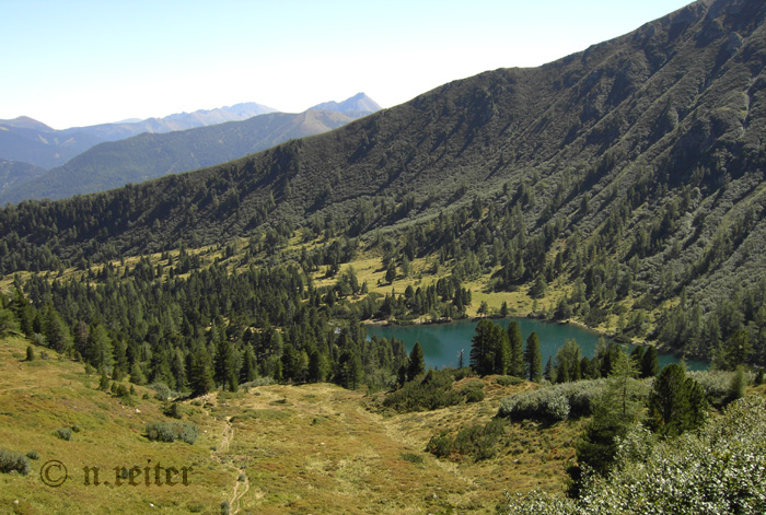 scheiblsee