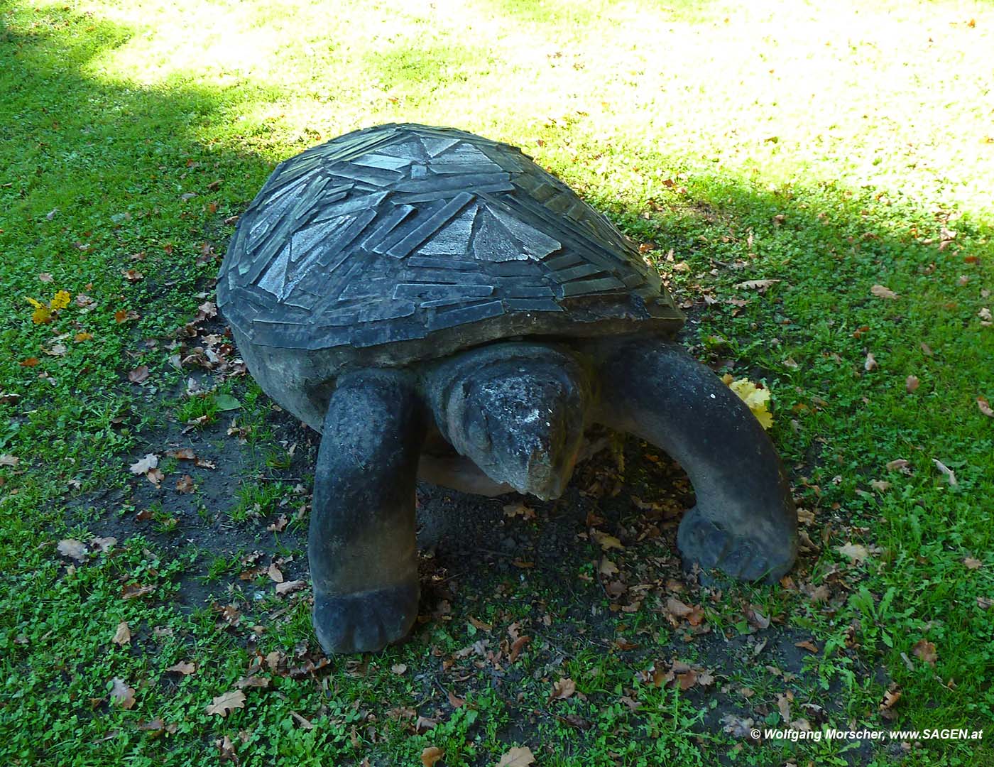 Schildkröte, Traklpark, Innsbruck