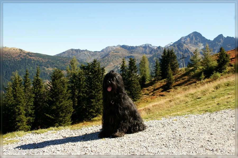 Schladming / Planai