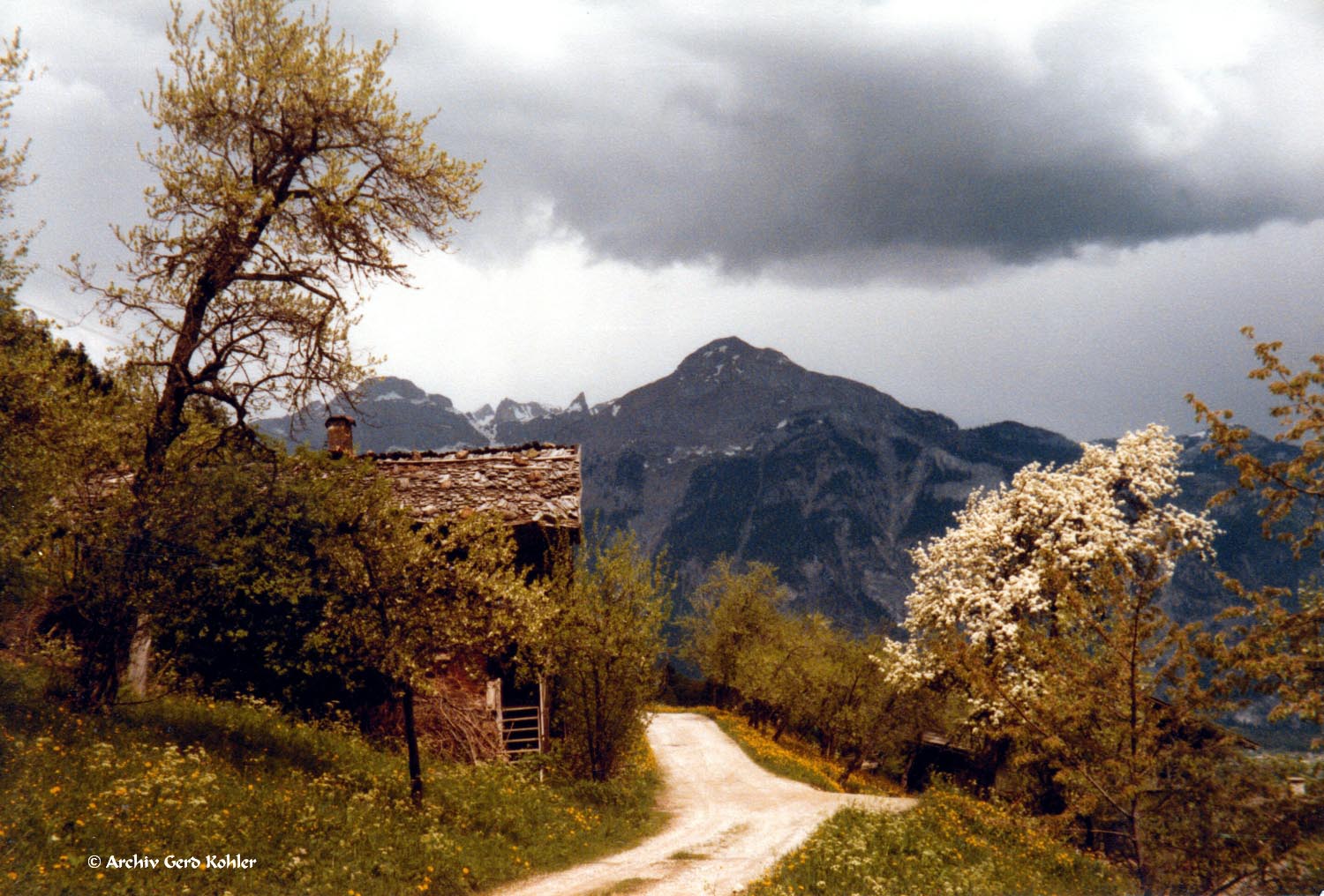 Schlittererberg 1984