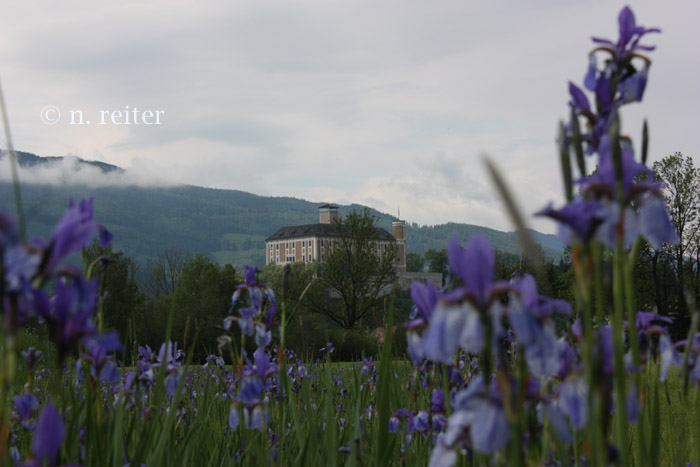 schloss trautenfels