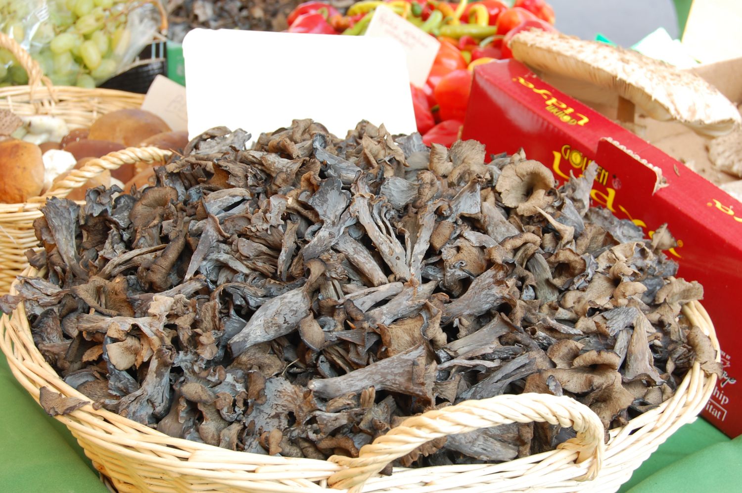 Schwammerl aus Kärnten